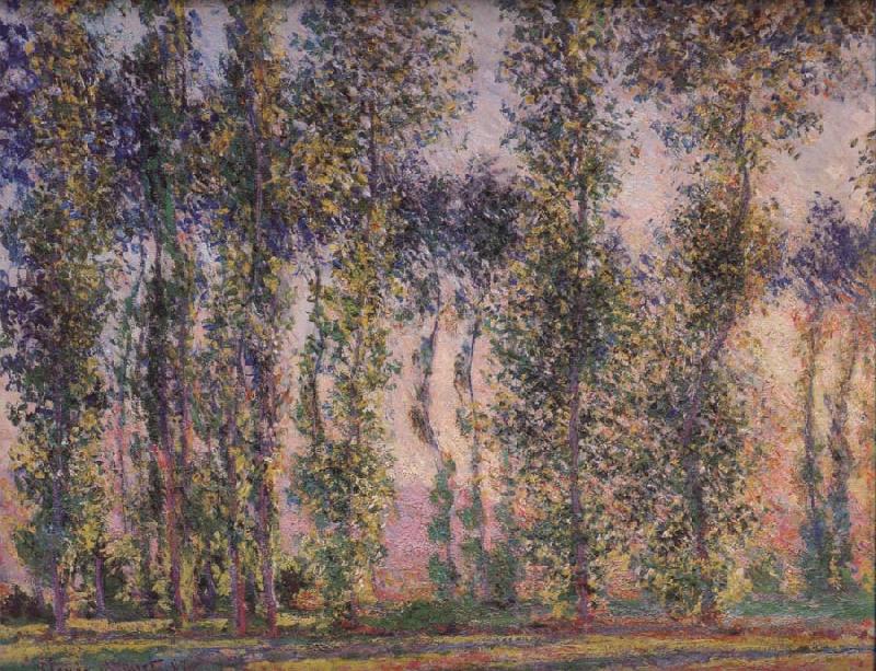 Claude Monet Poplars at Giverny china oil painting image